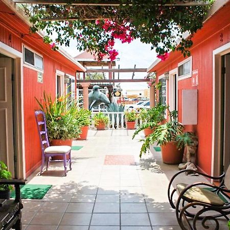 Hotel Malarrimo By Rotamundos Guerrero Negro Ngoại thất bức ảnh
